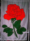 img15.jpg (23915 bytes)