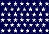 46starflag.gif (2671 bytes)