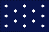 Washington's Commander-In-Chief flag