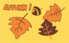 decorative flags/Boutiq23.jpg