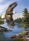 decorative flags/eagle.jpg