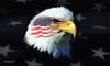decorative flags/pateagle.jpg
