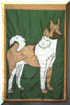 akita.jpg (58535 bytes)