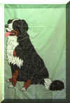bernese.jpg (45661 bytes)
