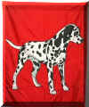 dalmatio.jpg (50840 bytes)