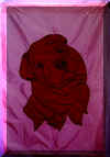 sharpei.jpg (55148 bytes)