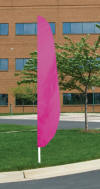 Magenta Feather Flag_small.jpg
