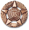 graphics/Vietnam Bronze.gif