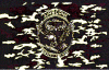 Camo-Airborne-Flag_small.gif