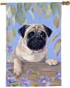 F10Pug.jpg (30254 bytes)