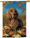 F28Dachshund.jpg (34750 bytes)