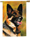 f13germanshep.jpg (32518 bytes)