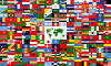 the world flag