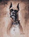 images/decora10.gif