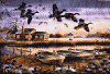 images/decora14.gif