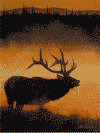 images/decora22.gif
