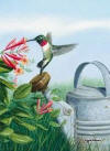 images/decora27.jpg