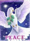 images/decora9.jpg