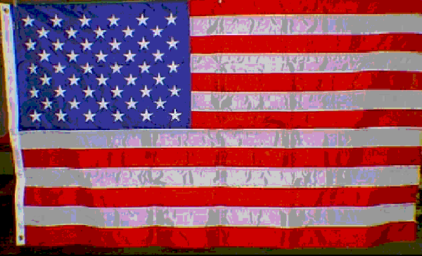 index.1.gif