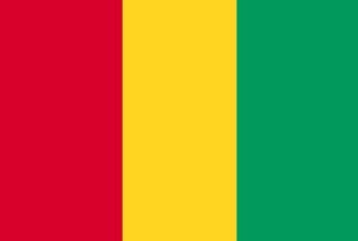 Guinea, Guinean Flag